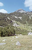 Pirin mountains - at the slopes of Vihren 